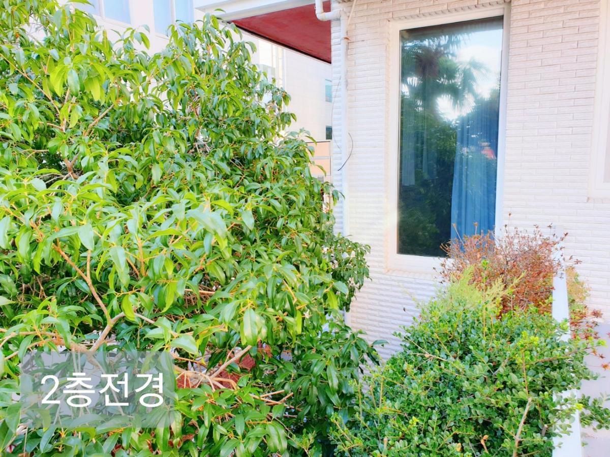 Picasso Guesthouse Mokpo Exterior photo
